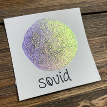 Load image into Gallery viewer, Squid