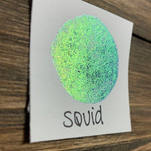Load image into Gallery viewer, Squid