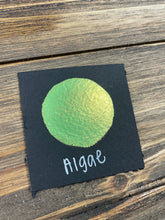 Load image into Gallery viewer, Algae