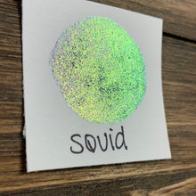 Load image into Gallery viewer, Squid