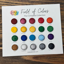Load image into Gallery viewer, Field of Colors