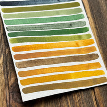 Load image into Gallery viewer, Campfire Nights Color Collection