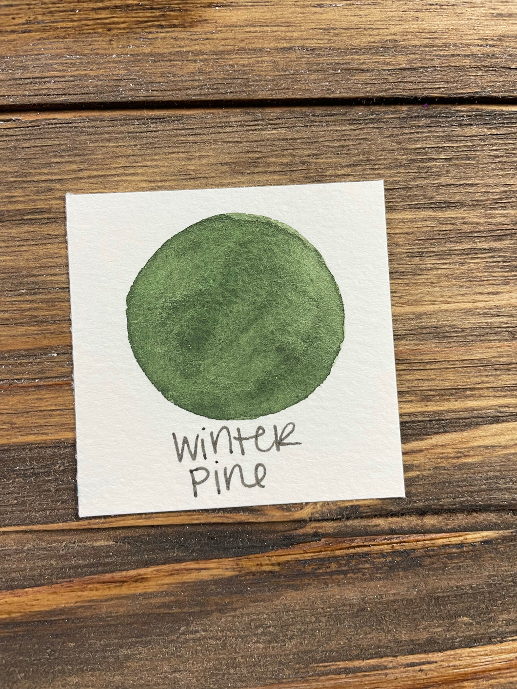 Winter Pine